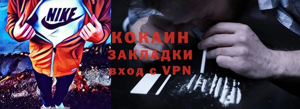 бошки Бронницы