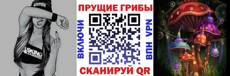даркнет как зайти  Кочубеевское  Галлюциногенные грибы ЛСД  hydra вход 